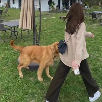 伟人秘闻