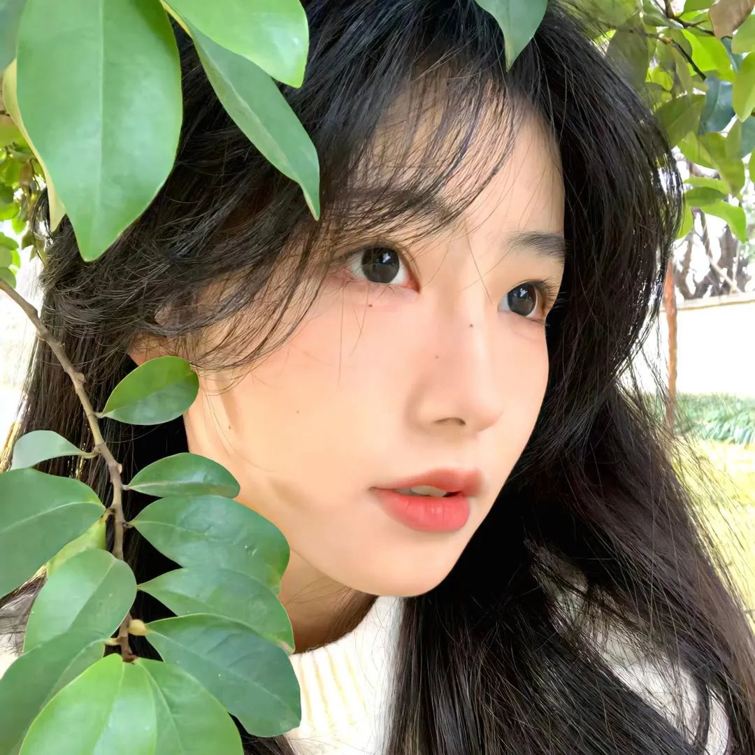 轻蔑
